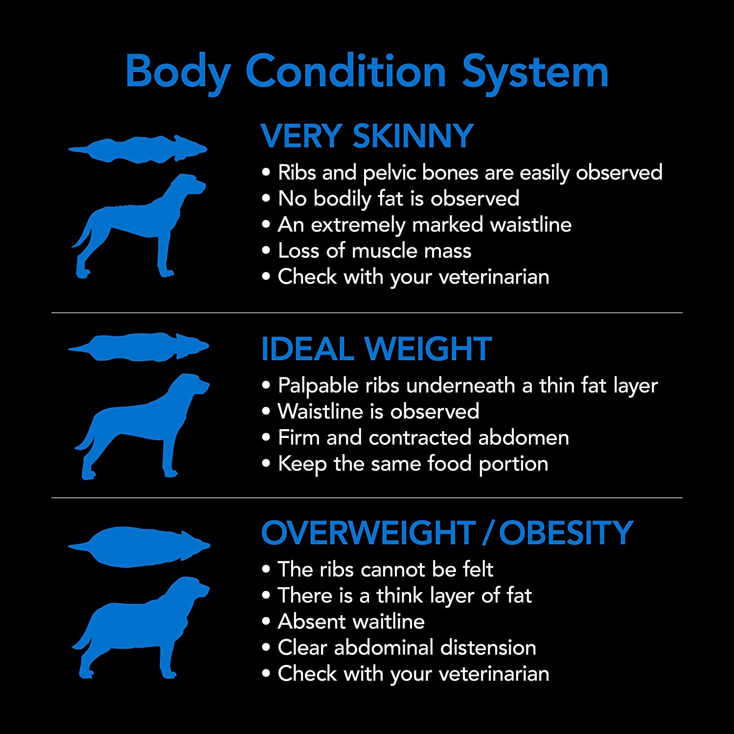 SMARTBLEND Senior Dry Dog Food Fish 2.6Kg